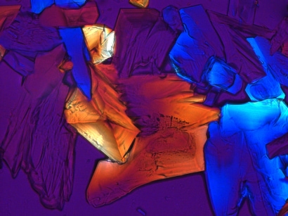 Welcome to the Great Lakes Microscopy Society